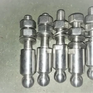 SS Dolphin Nut Bolt