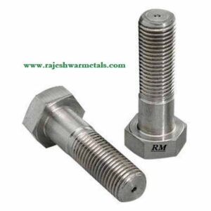 Ss Hex Nut Bolt